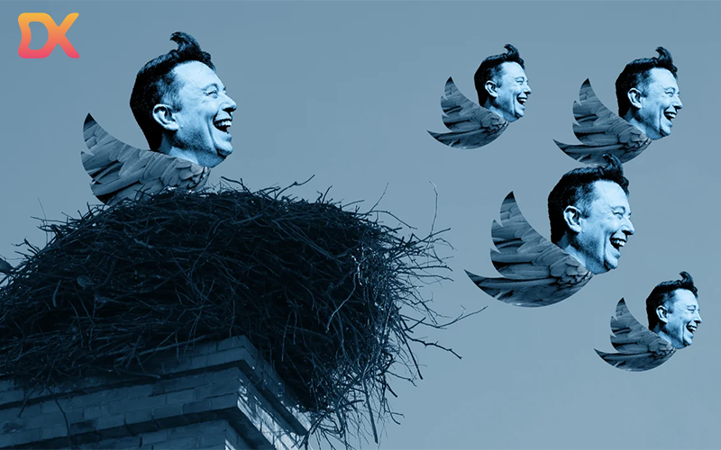Nhiều người kỳ vọng Elon Musk sẽ giúp Twitter "tung bay"