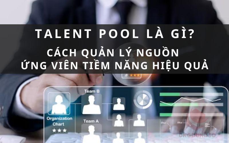 Talent pool là gì