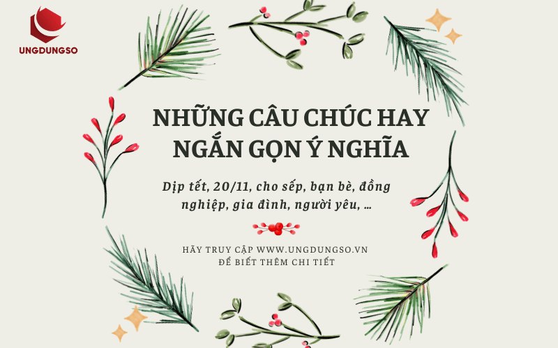 Đầy đủ những câu chúc hay ngắn gọn dịp tết, 20/11, cho sếp, bạn bè, đồng nghiệp, gia đình, người yêu, …